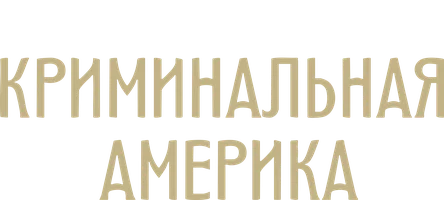 Криминальная Америка
