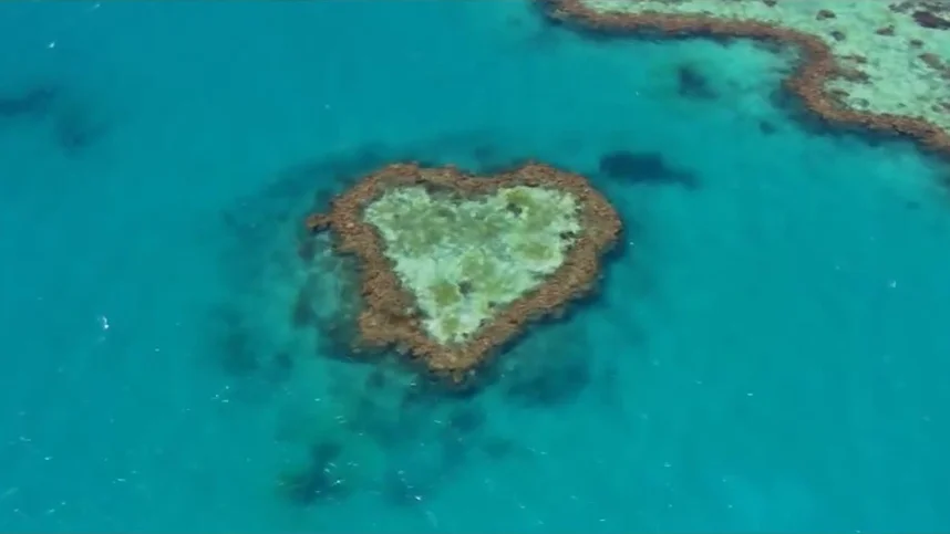 Дом. История путешествия