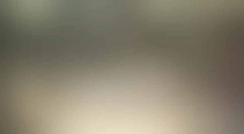 Монстры 2: Темный континент