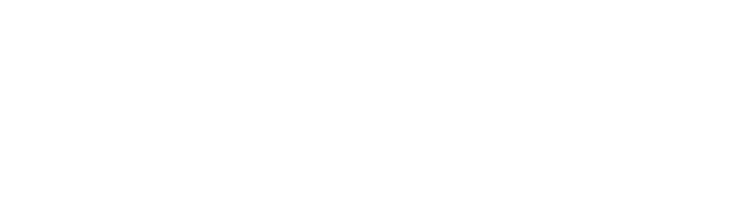 Партизан
