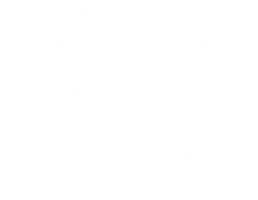Лето первой любви