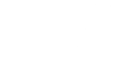 Двойной обман Мадлен Коллинз
