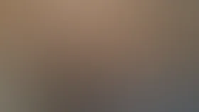 Detektiv Dubrovskining dosyesi