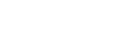 Тёмная история берлинского «Динамо»: тайная полиция и банды. НФ