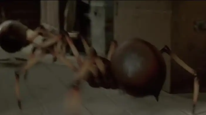 Фрагмент 7 (английский язык)