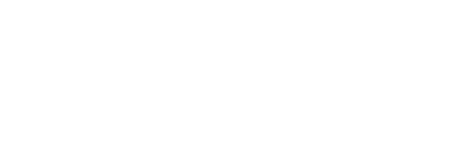 ЧУР