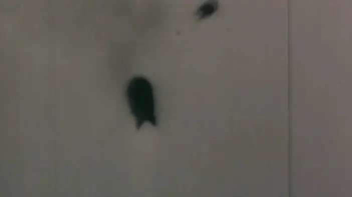 Трейлер (русский язык)