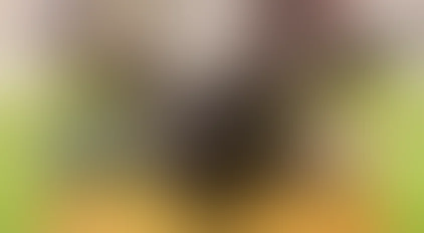 Не надо печалиться