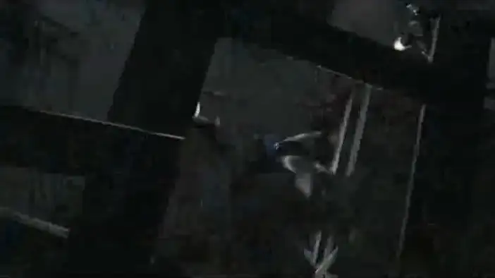 Тизер (китайский язык)