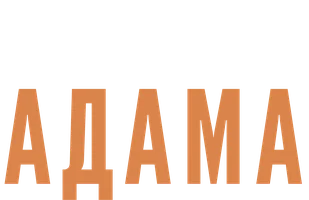 В поисках Адама