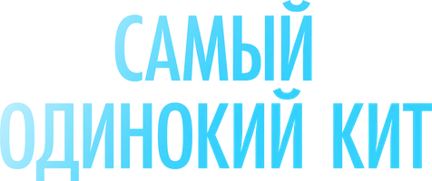 Самый одинокий кит