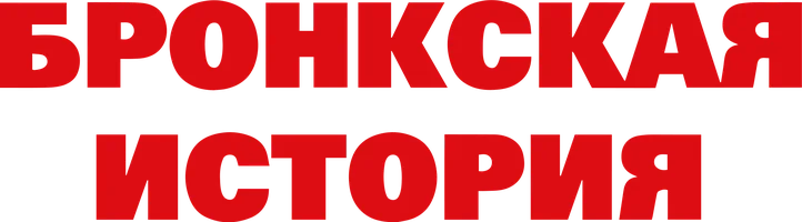 Бронкская история