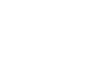 Рокировка в длинную сторону (Фильм, 1969)