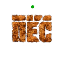 Пёс. Убийства, которые выглядят как фокус