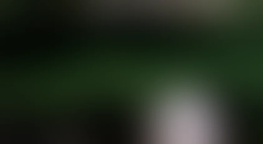 Гадкий утёнок