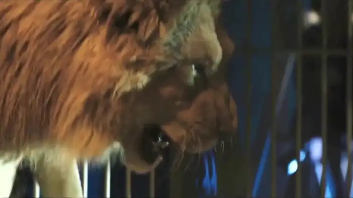 Трейлер (французский язык)