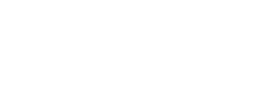 Записки сумасшедшего
