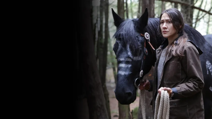 Ночные налётчики