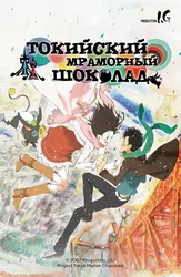 Токийский мраморный шоколад