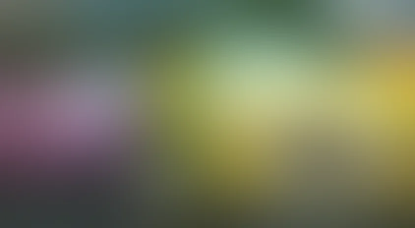 Город тачек