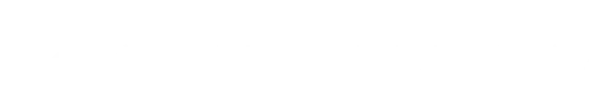 Жизнь верхом