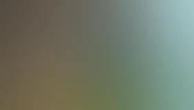 Четыре комнаты