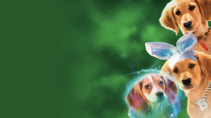 Мистическая пятерка