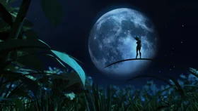 Prig Skok xazina izlashda