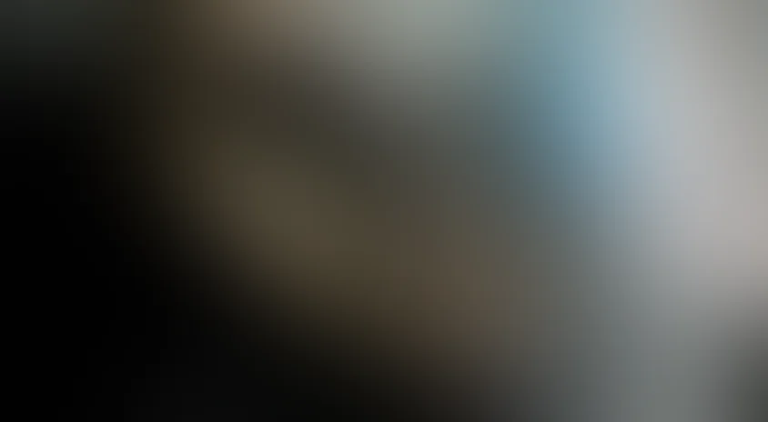 Пуля-дура. Возвращение агента