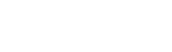 Полураспад Тимофея Березина