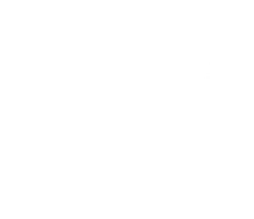 Мир в моей голове