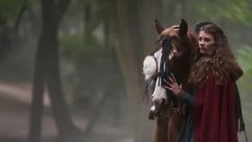 Пробуждающая совесть 2: Дар змеи