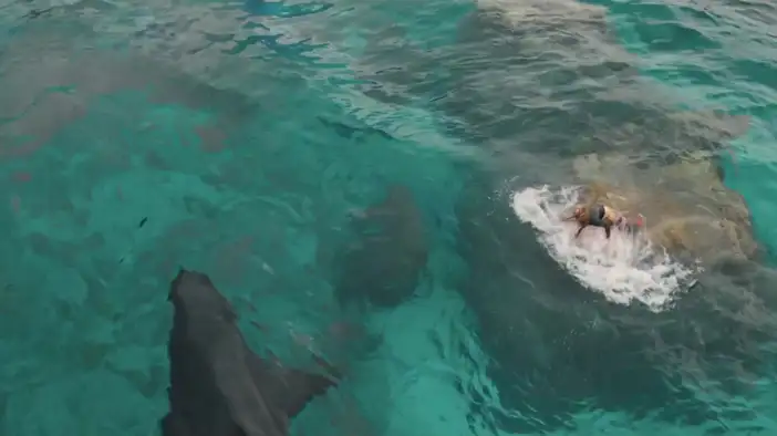 Трейлер (дублированный)