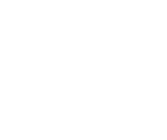 Не будите спящего полицейского