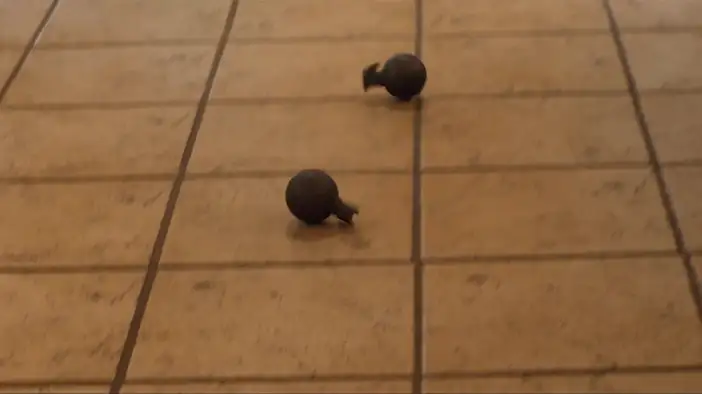 Трейлер (русский язык)