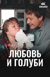 Любовь и голуби