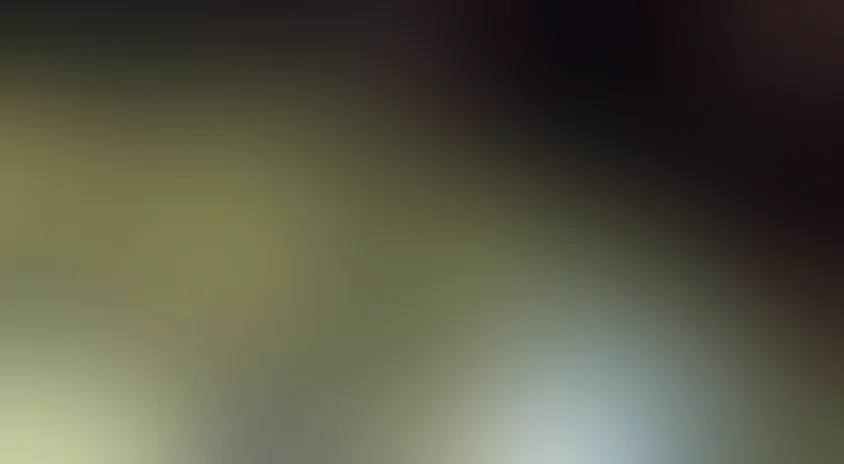 В лесной чаще