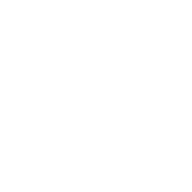 ТНТ4