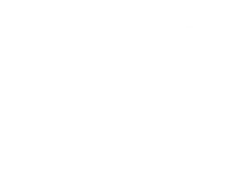 Йоко и друзья