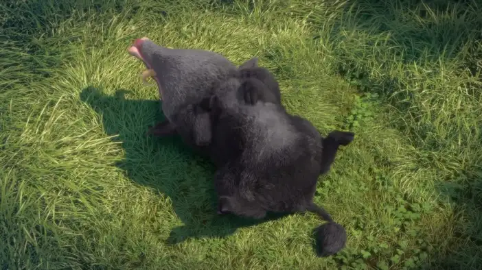 Тизер (французский язык)