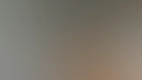 Участковый детектив