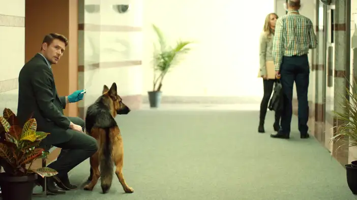 Трейлер (сезон 1,русский язык)