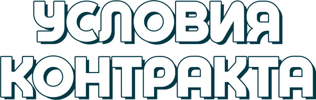 Условия контракта (сериал 2011)