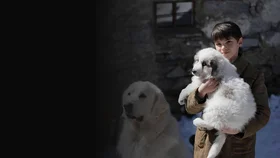 Белль и Себастьян: Друзья навек