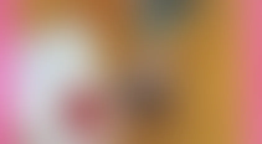 Честное крокодильское