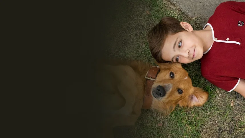 Собачья жизнь