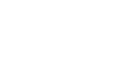 Чёрный медведь