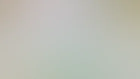 Любимчики в поисках радуги