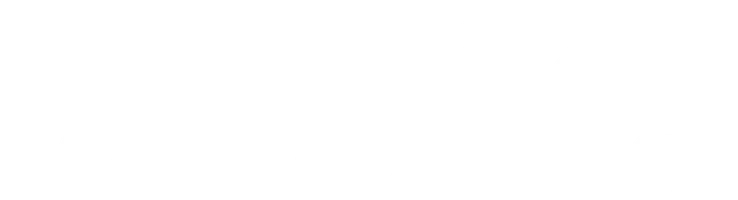 Гений математики