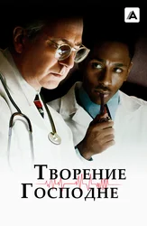 Jinsiy moynali tulki